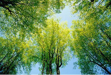 《暗黑4》开发者将举办篝火聊天 消除玩家对新更新担忧